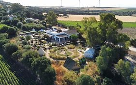 Milagro de Algar